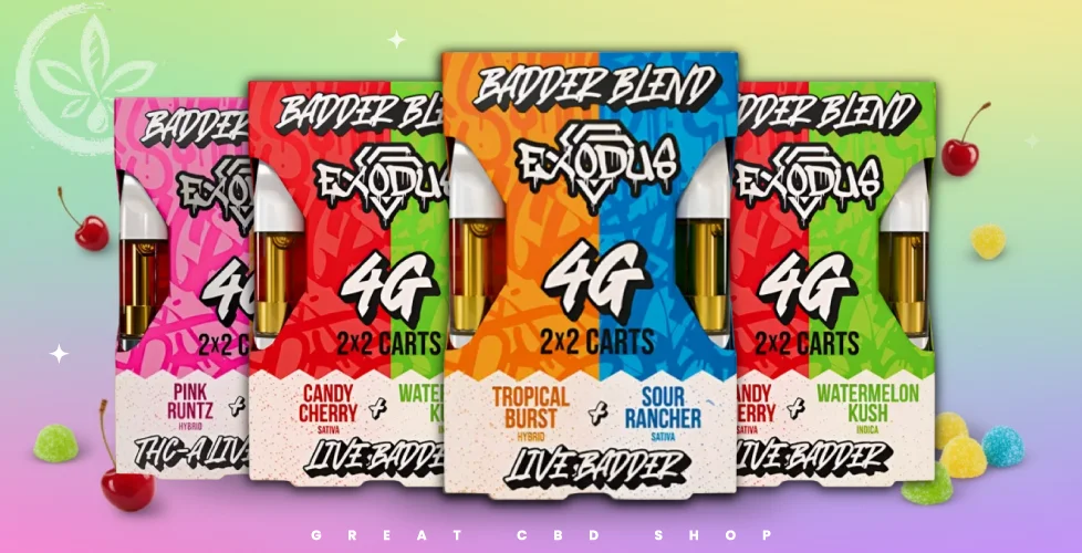 Best THCa carts in 2026: Top Brands, Flavors, & Potency