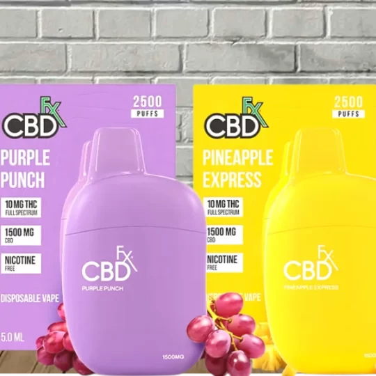 Koi Balance Bar CBD Disposable 500mg - Great CBD Shop Koi Balance Bar CBD Disposable 500mg - Great CBD Shop