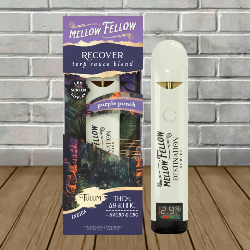 Mellow Fellow Terp Sauce Destination Blend Disposable 2g Recovery Blend-Tulum Purple Punch (Indica)