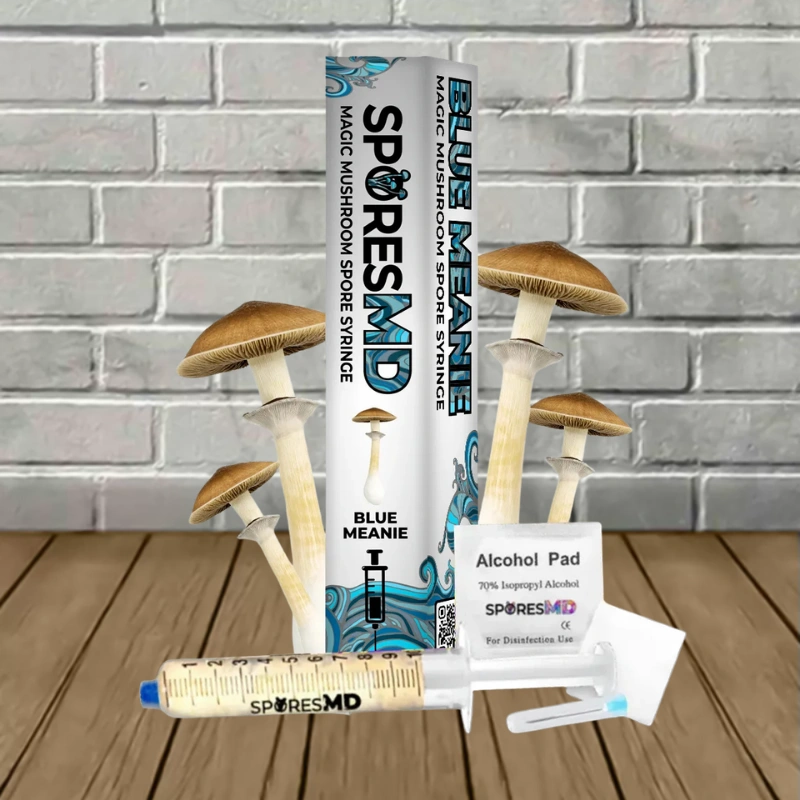 SporesMD Blue Meanie Mushroom Liquid Culture 10ml