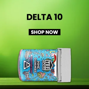 CBD Shop - Buy Delta 8, Kratom, Mushroom, Blue Lotus Products