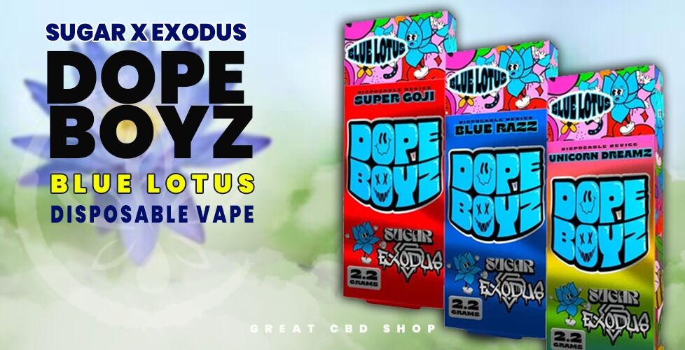 Blue Lotus Vapes Review: What Makes It So Popular? - Great CBD Shop