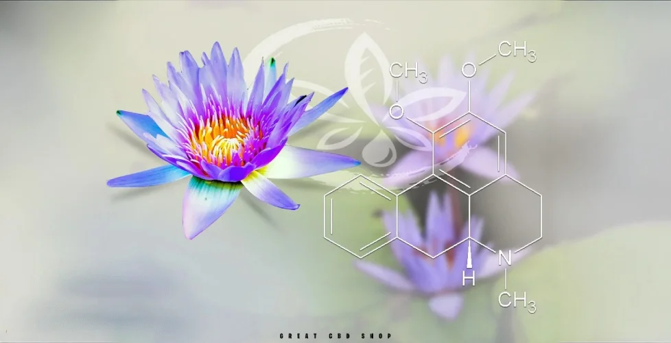 Blue Lotus Vapes Review: What Makes It So Popular?