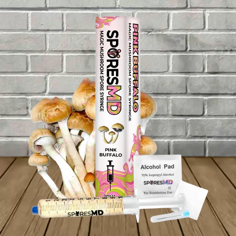 SporesMD Pink Buffalo Mushroom Liquid Culture 10ml